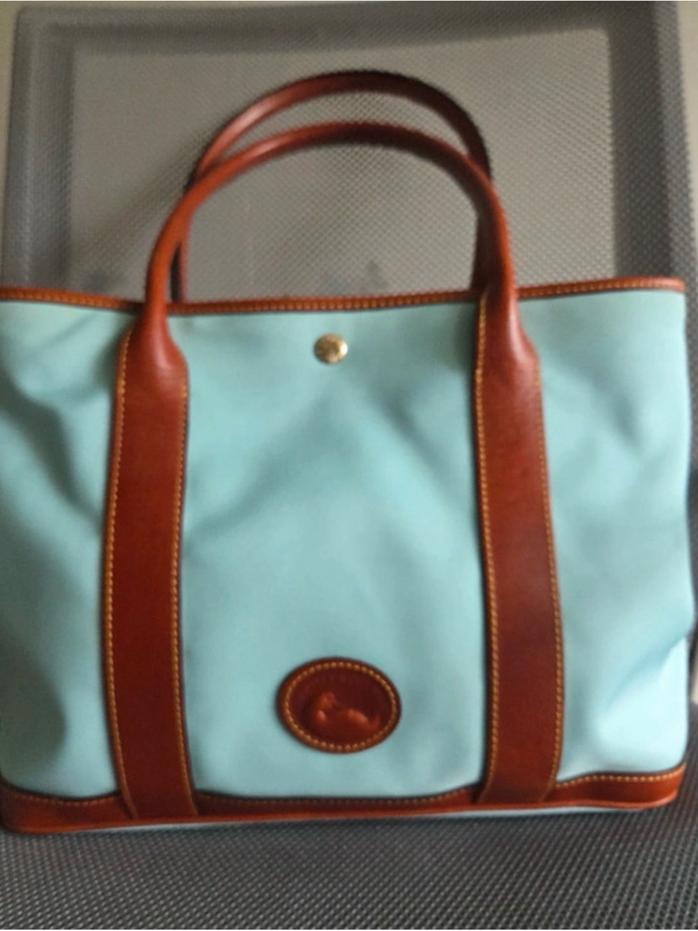 Dooney & Bourke Aqua Tote with Brown Leather Trim